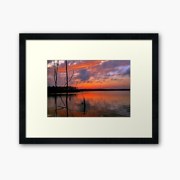 Reflection of Color Framed Art Print