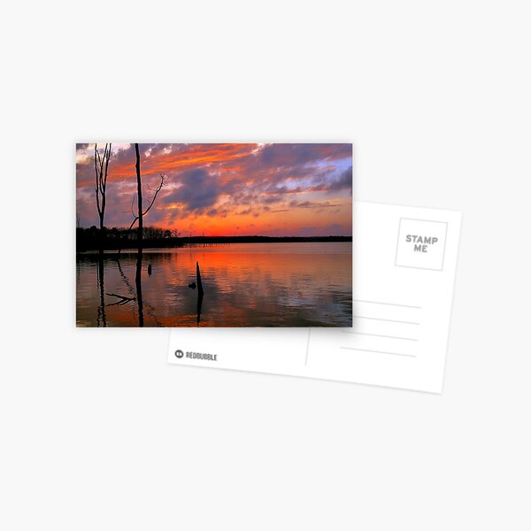 Reflection of Color Postcard