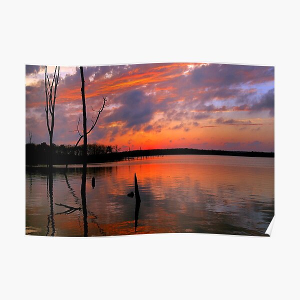 Reflection of Color Poster