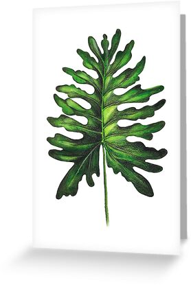 "Sketch Monstera" Greeting Cards by MyArt23 | Redbubble