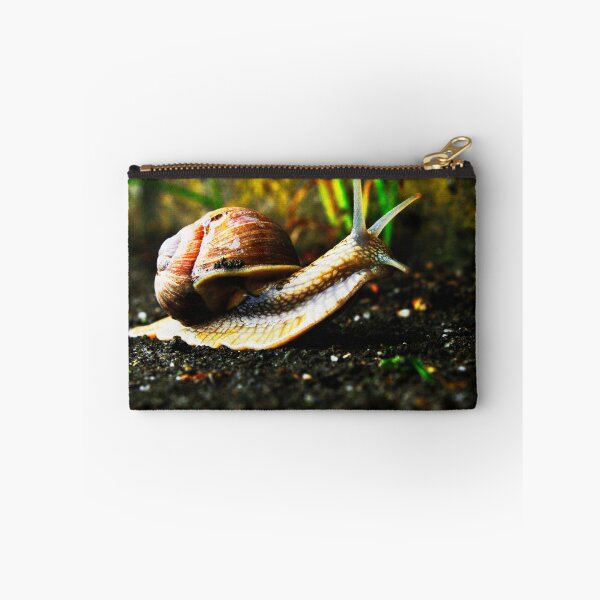 Item preview, snail.. designed and sold by michiyo00.