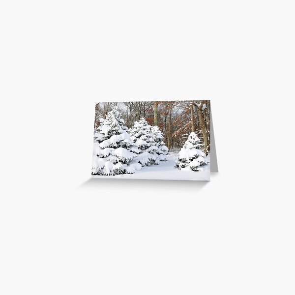 Snowy Pines Greeting Card