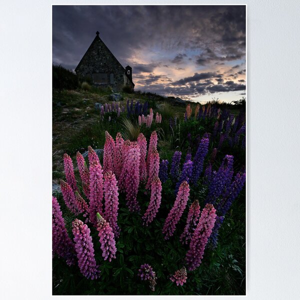 Sundown on the Shepherd Poster