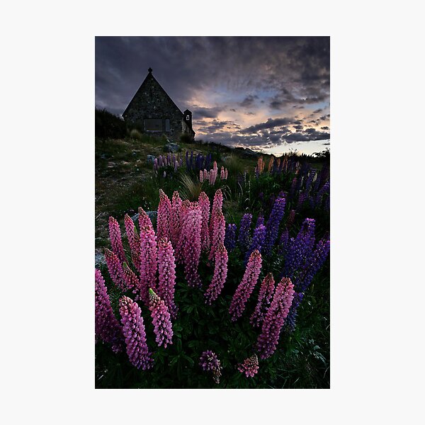 Sundown on the Shepherd Photographic Print