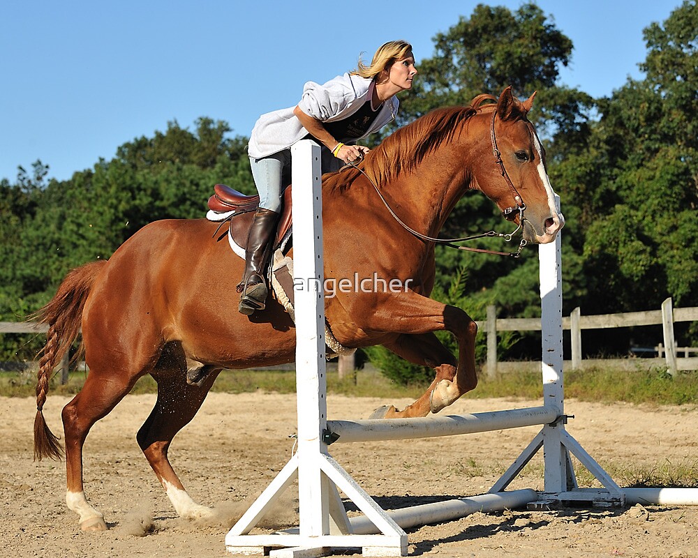 "The Quarter Horse Jump" by angelcher Redbubble
