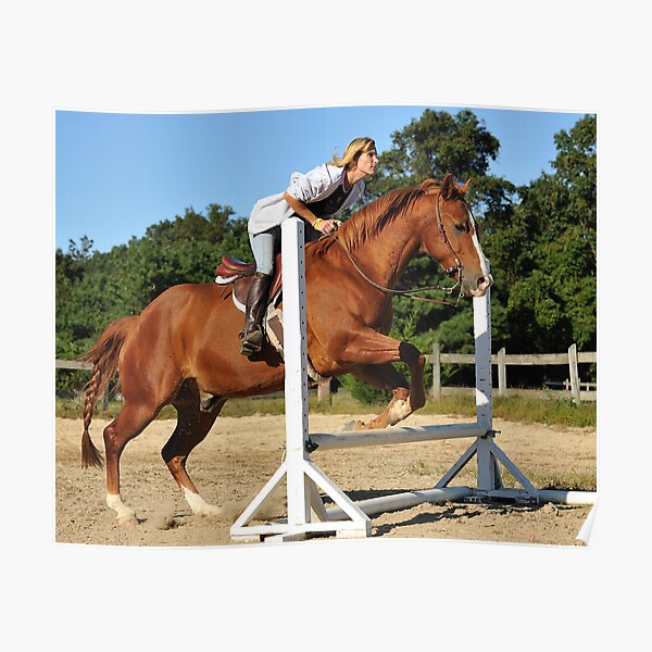 The Quarter Horse Jump Poster