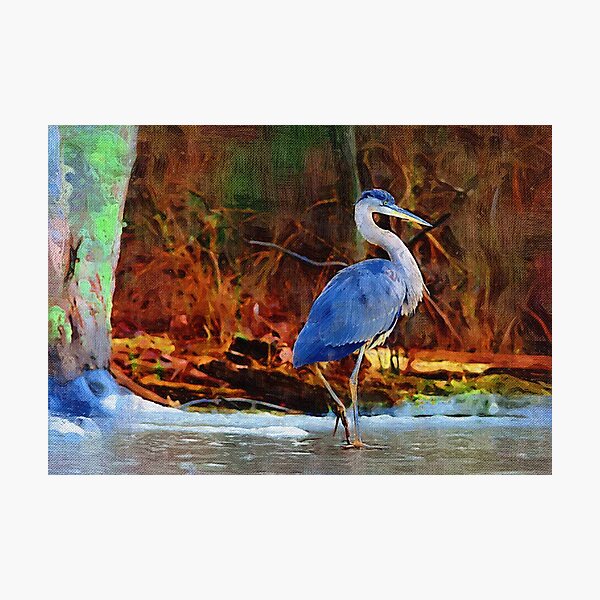 Heron on Ice Texture Painting Photographic Print
