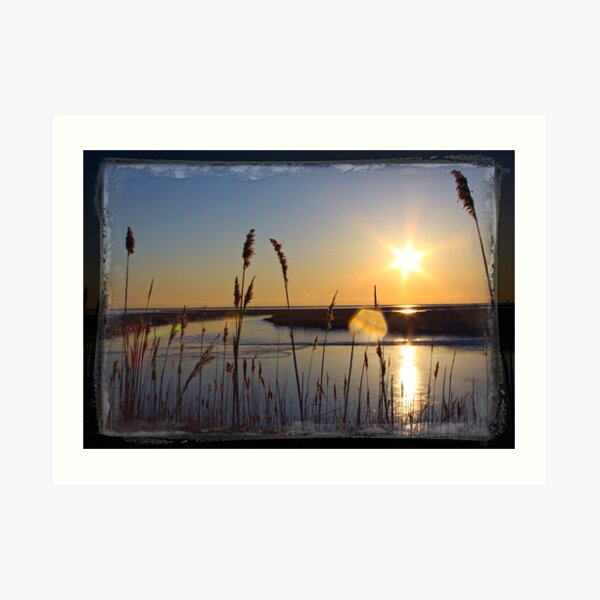 Sun Star Art Print