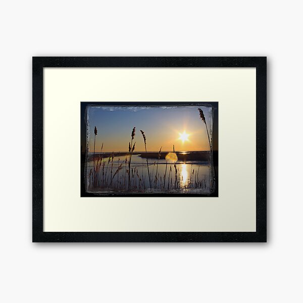 Sun Star Framed Art Print