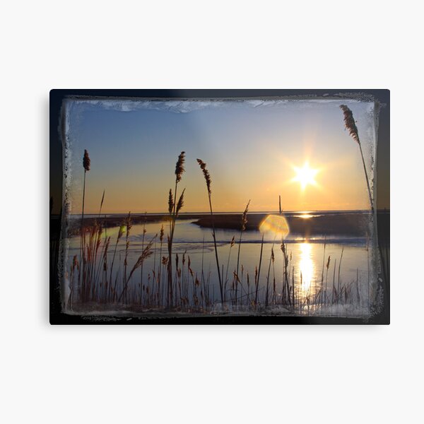 Sun Star Metal Print