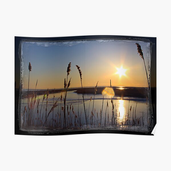 Sun Star Poster