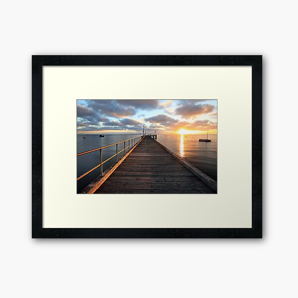 Morning Glory, Mornington Peninsula, Australia Framed Art Print