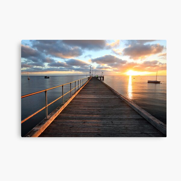 Morning Glory, Mornington Peninsula, Australia Canvas Print