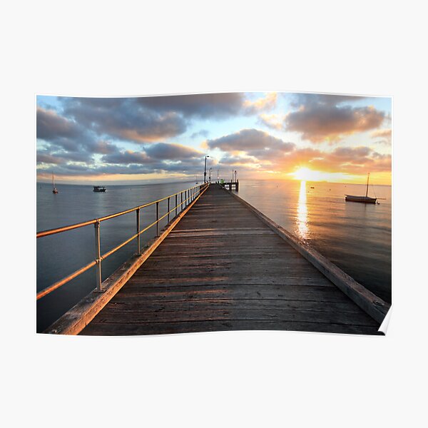Morning Glory, Mornington Peninsula, Australia Poster