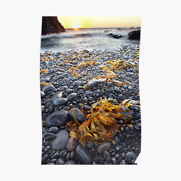 Cape Schank, Mornington Peninsula, Australia Poster