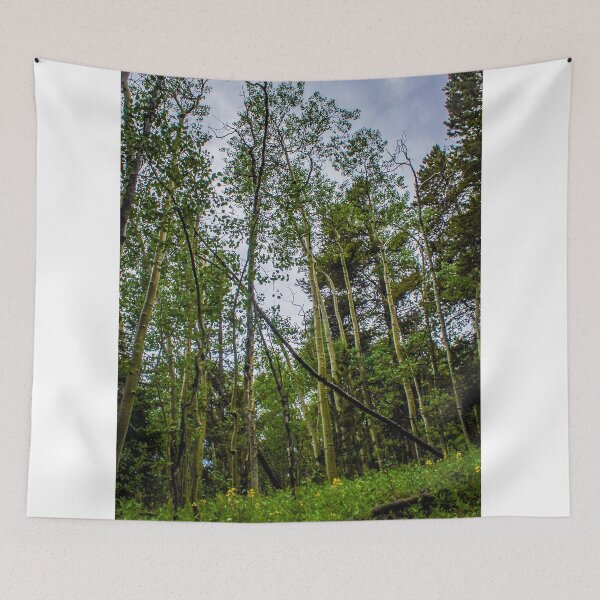 Item preview, Aspens Being the Way They Are designed and sold by Scridoodles.