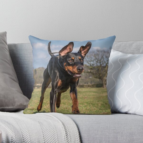 Dobe in Flight Throw Pillow
