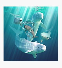 Beluga-Blasen Fotodruck