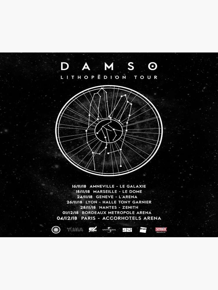 DAMSO - Lithopédion Tour - 68x98cm - AFFICHE - POSTER - Envoi Roulé -  Cdiscount
