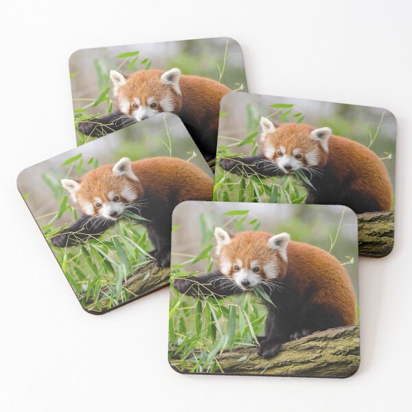 Item preview, Red panda designed and sold by fourretout.