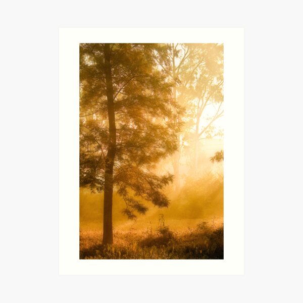 Mist & Tree Art Print