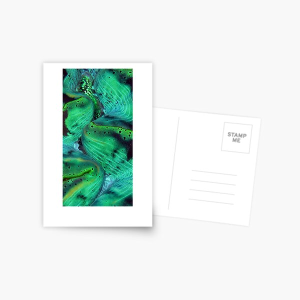 Maxima Green Postcard