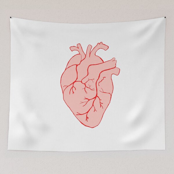 Item preview, anatomical heart  designed and sold by DidemOdemis.