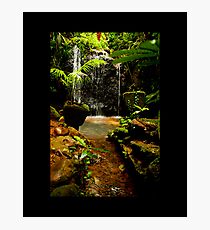 water fall paronella Photographic Print