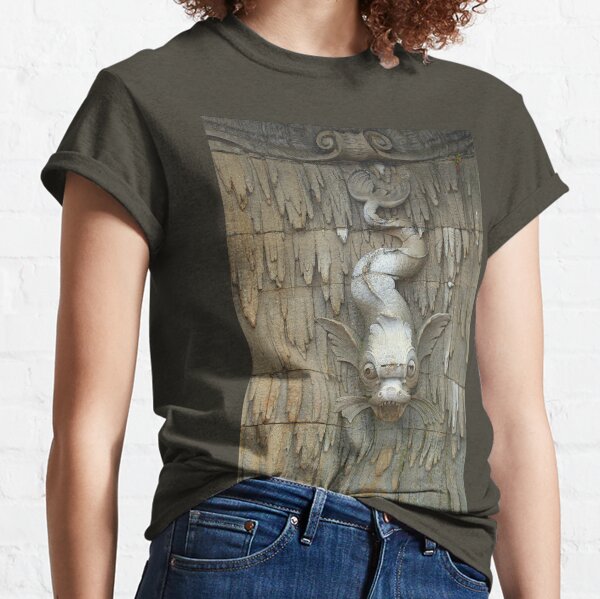 Stone Fish, Fountain Detail, Biltmore. Classic T-Shirt