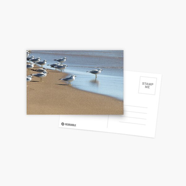 Awaiting - 'Cards' Postcard