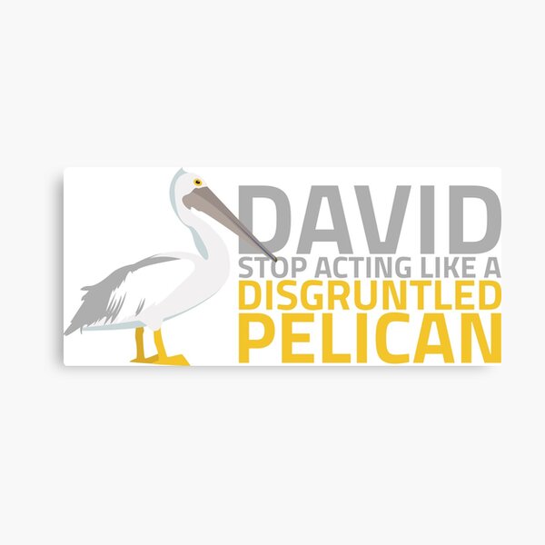 Disgruntled Pelican Canvas Print