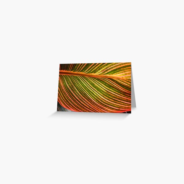 Item preview, Sunlit Leaf designed and sold by Laurel Talabere.