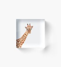 Aquarell Giraffe Acrylblock