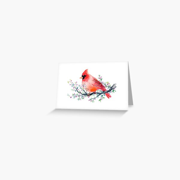 Watercolour red cardinal bird Greeting Card