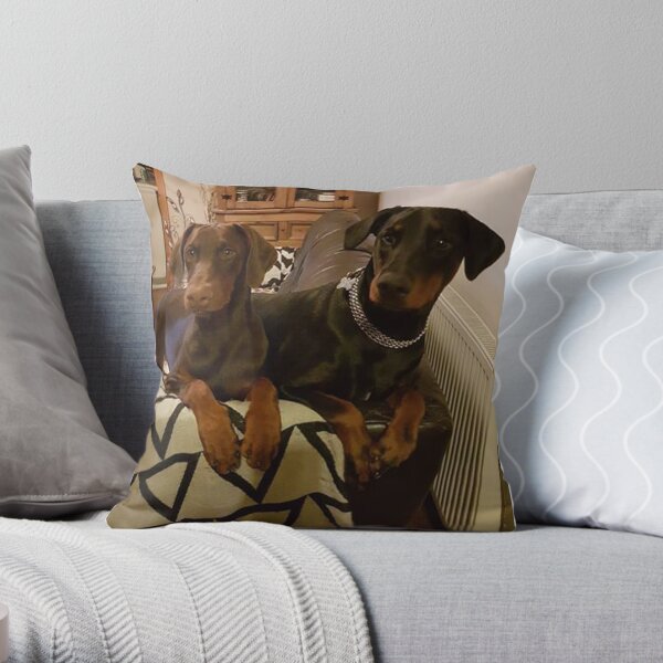 Double Take Throw Pillow