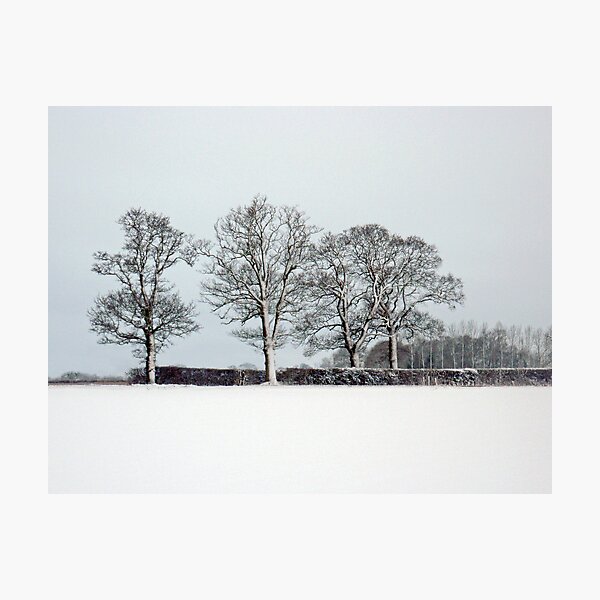 Item preview, Across a snowy field in Bintree Norfolk designed and sold by johnny2sheds.
