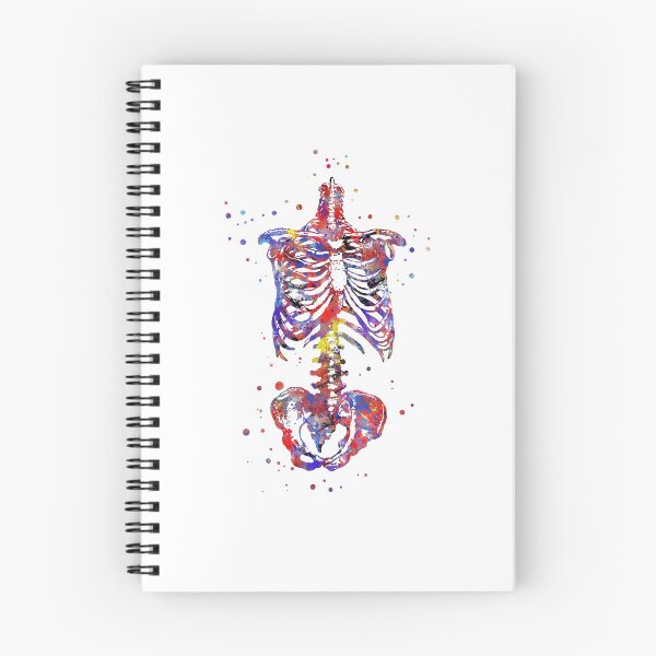 Item preview, Skeleton torso, watercolor skeleton torso, torso designed and sold by Rosaliartbook.