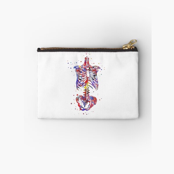 Item preview, Skeleton torso, watercolor skeleton torso, torso designed and sold by Rosaliartbook.