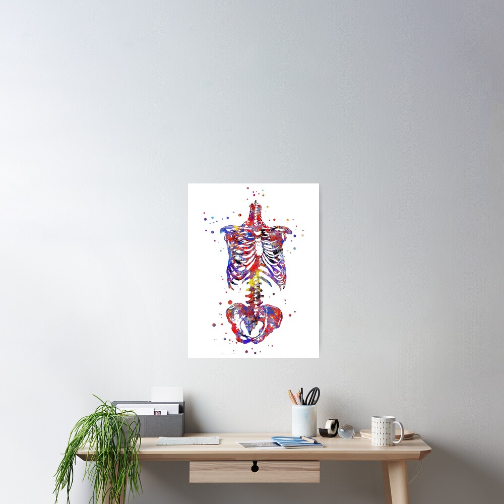 "Skeleton torso, watercolor skeleton torso, torso" Poster for Sale by
