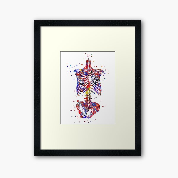 Artikel-Vorschau von Skeleton Torso, Aquarell Skelett Torso, Torso, designt und verkauft von Rosaliartbook.
