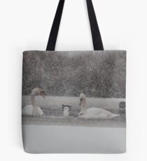 And You Just Had To Fight For This Place............ Tote Bag