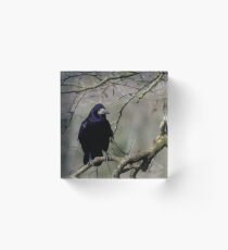 Rook Acrylic Block