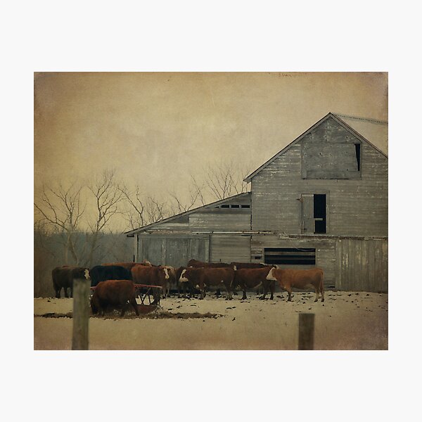 Item preview, Pastoral designed and sold by Victoria Jostes.
