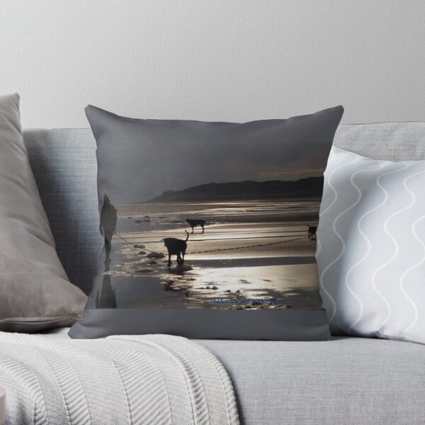 Strangers on the Shore Throw Pillow