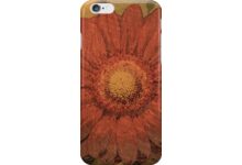 Gerbera auf Redbubble von pASob-dESIGN