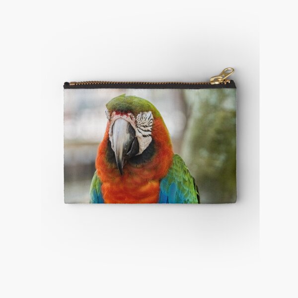 Item preview, Squinting Parrot designed and sold by KensLensDesigns.
