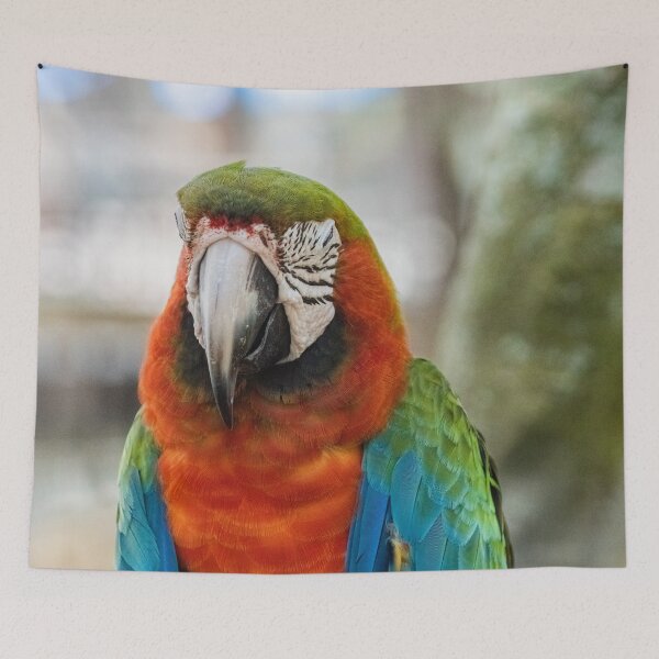 Item preview, Squinting Parrot designed and sold by KensLensDesigns.