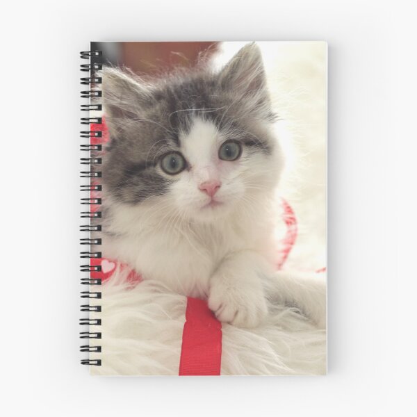 Item preview, Kitten Love designed and sold by papillonbleu.