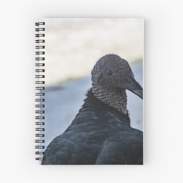 Item preview, Eloquent  Turkey Vulture designed and sold by KensLensDesigns.