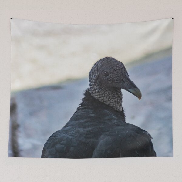 Item preview, Eloquent  Turkey Vulture designed and sold by KensLensDesigns.